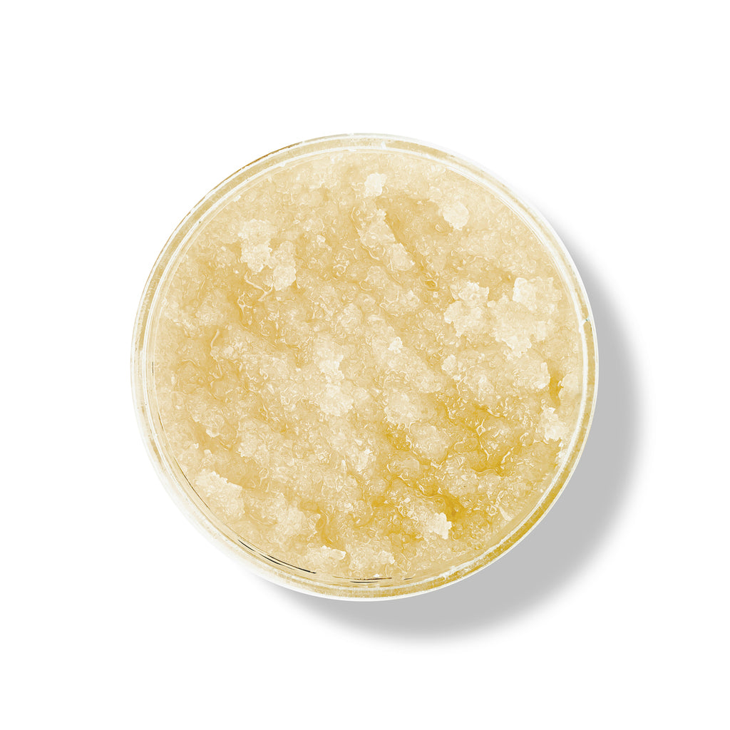 100% Pure ココナッツボディスクラブ 10oz Coconut Body Scrub 285g
