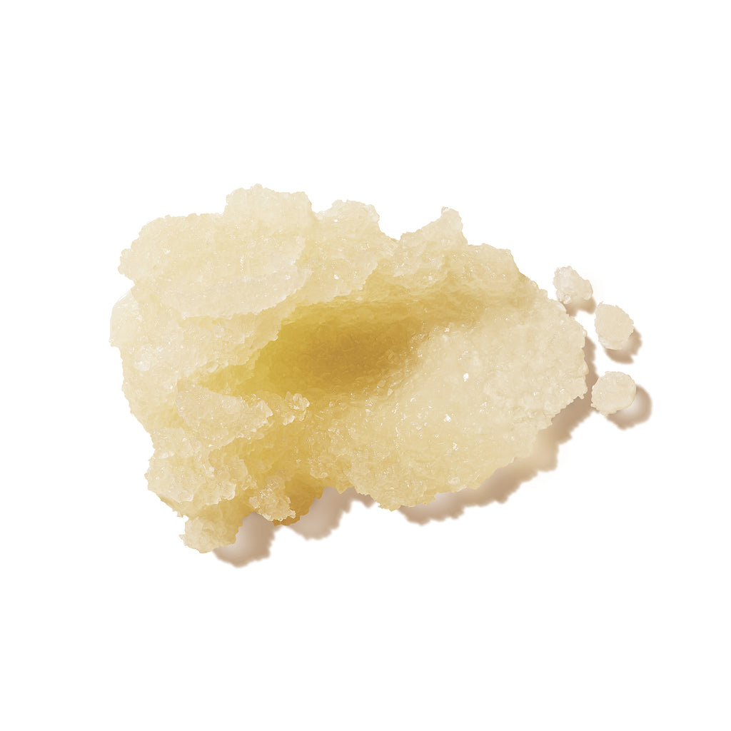 100% Pure ココナッツボディスクラブ 10oz Coconut Body Scrub 285g